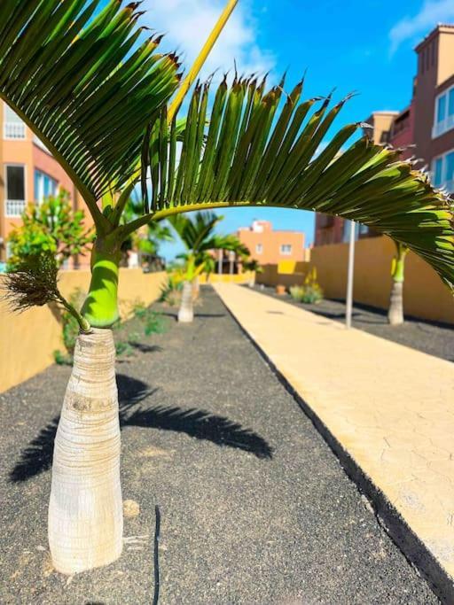 Apartamento Casa Bamboo Corralejo, Espacioso, Piscina Y Parking Exterior photo