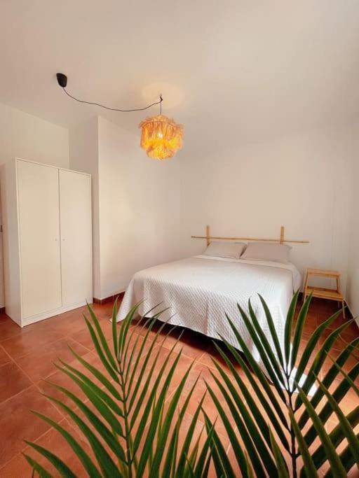 Apartamento Casa Bamboo Corralejo, Espacioso, Piscina Y Parking Exterior photo