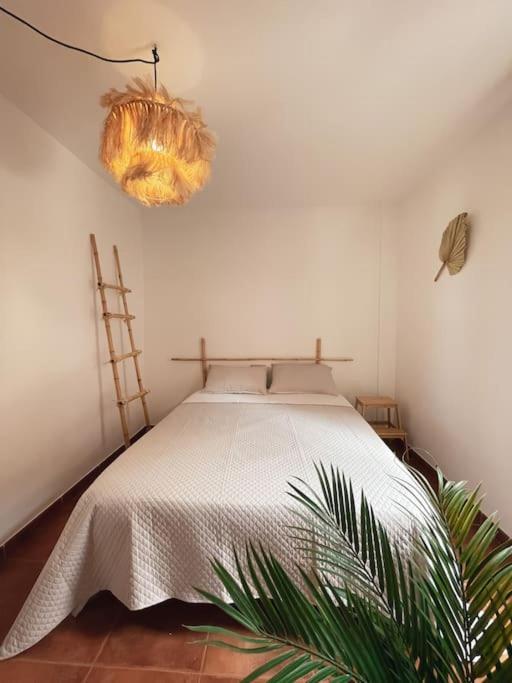Apartamento Casa Bamboo Corralejo, Espacioso, Piscina Y Parking Exterior photo